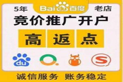 SEM网络推广成功案例：如何抓住潜在客户